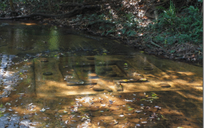 Kbal Spean