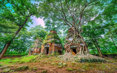 1 DAY TOUR WITH PREAH VIHEAR AND KOH KHER GROUP