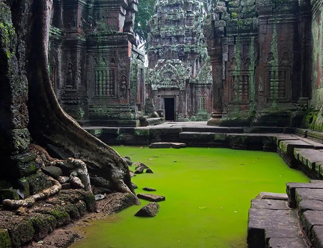 ta-prohm-temple-cambodia